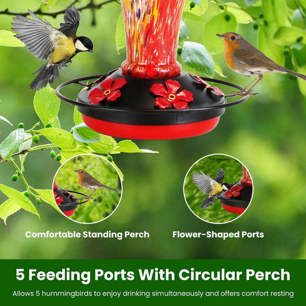 Glass Hummingbird Feeder With 5 Feeding Ports and 33oz Capacity – view 8