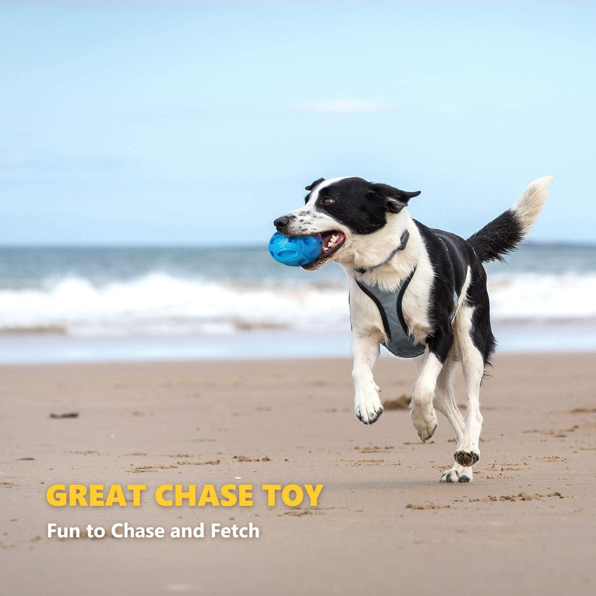 Rubber Sounding Dog Ball for Interactive Play – view 7
