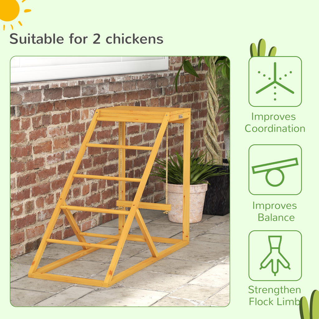 Chicken Activity Play for Healthy, Happy Poultry – view 9