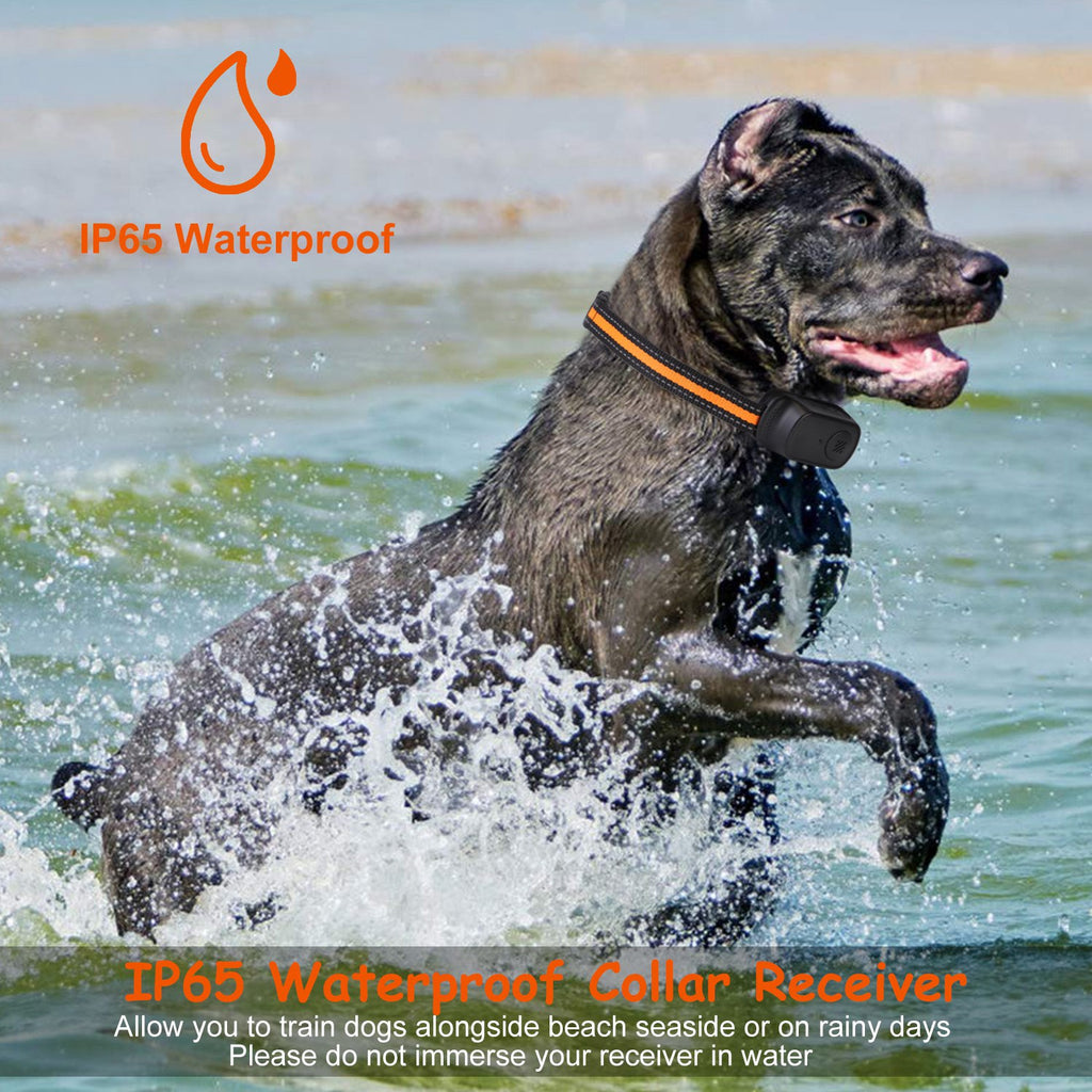 Dog Training Collar with Remote and 3 Training Modes – view 13