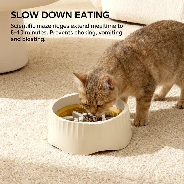 2-in-1 Slow Feeder Bowl for Cats