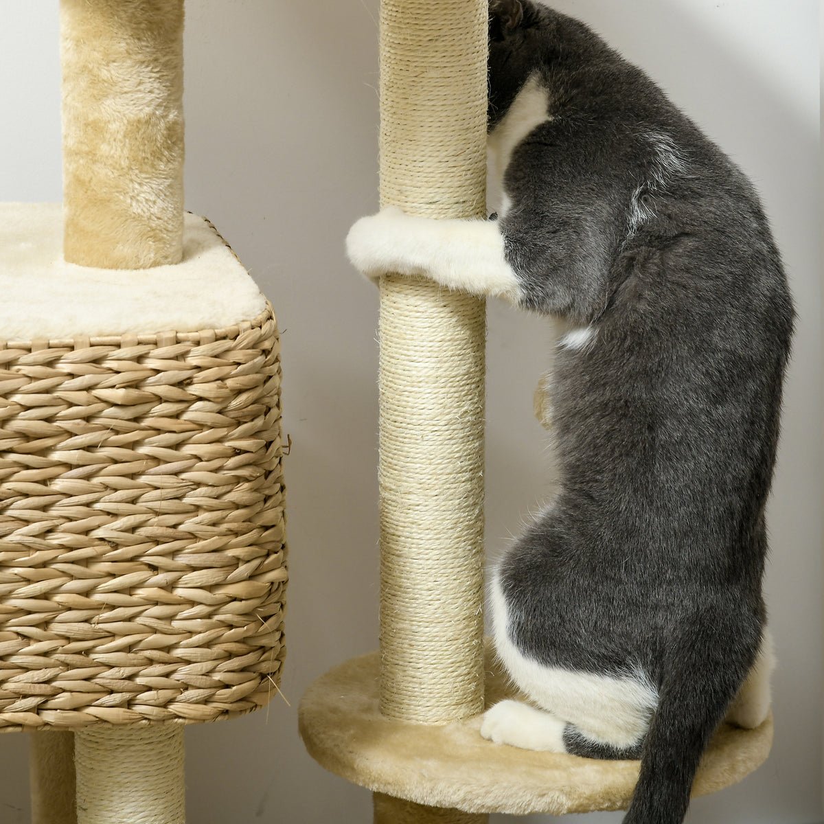 Indoor Cat Tree with Scratching Posts – view 8