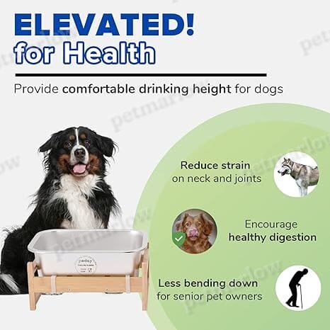 1.2 Gallon Raised Dog Water Bowl, Human Grade 18/8 Stainless Steel