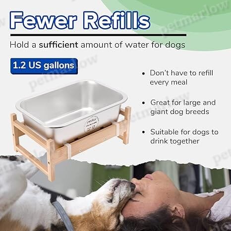 1.2 Gallon Raised Dog Water Bowl, Human Grade 18/8 Stainless Steel