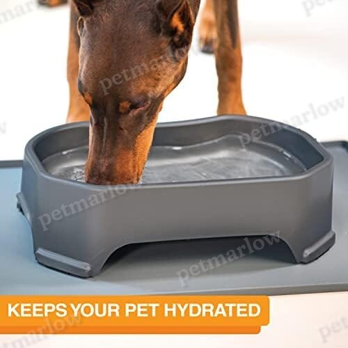 1.25 Gallon Capacity, 160 oz Extra Large Water Bowl for Dogs – view 2