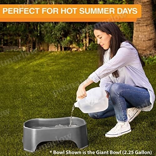 1.25 Gallon Capacity, 160 oz Extra Large Water Bowl for Dogs – view 5