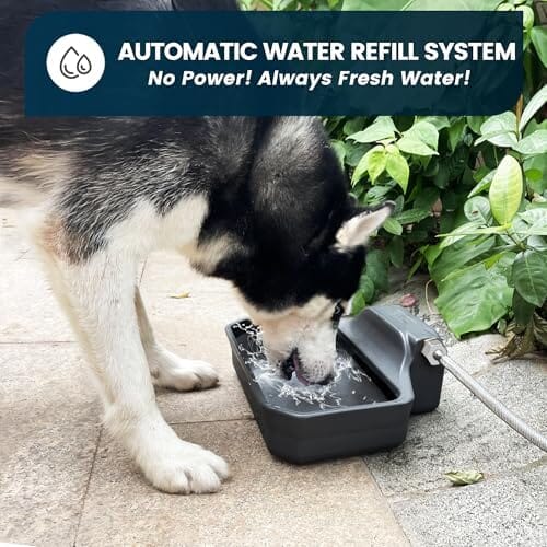 1 Gallon Dog Water Bowl for Outdoor – view 7