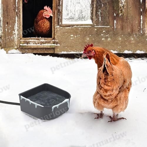 1 L Outdoor and Indoor Heated Water Bowl for Pet