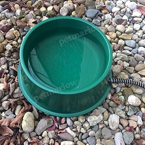 1 Quart 25 Watt Powered Heated Electric Water Bowl with Thermostatic Control and Anti Chew Cord Protector for Pets