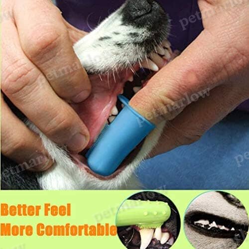 10 Pack Pet Dog Toothbrush – view 4