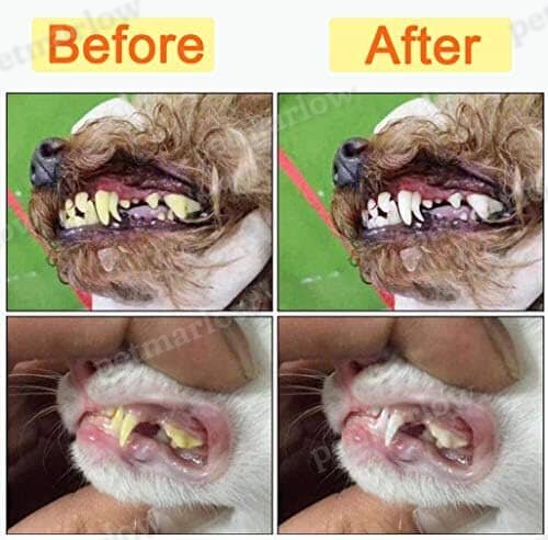 10 Pack Pet Dog Toothbrush – view 6