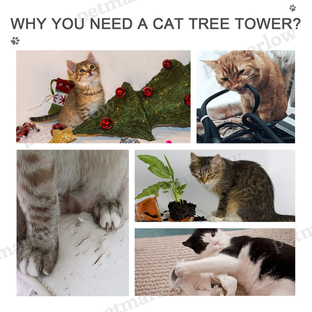 Adjustable Height Cat Tree with Scratching Posts – view 5