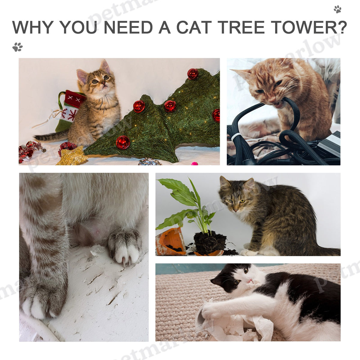 Adjustable Height Cat Tree with Scratching Posts – view 5