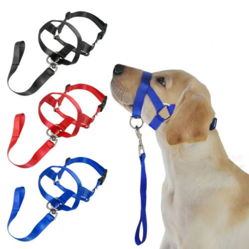 Adjustable Harness with Leash for Small and Medium-Sized Dogs – view 10