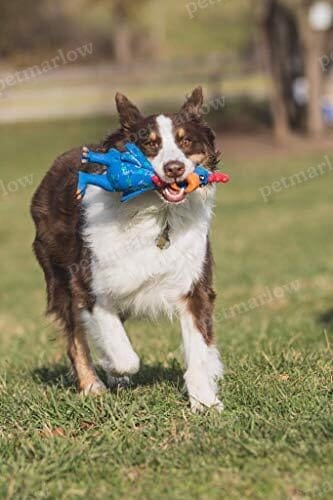 11.5-Inch Latex Polka Dot Globken Chicken Dog Toy – view 2