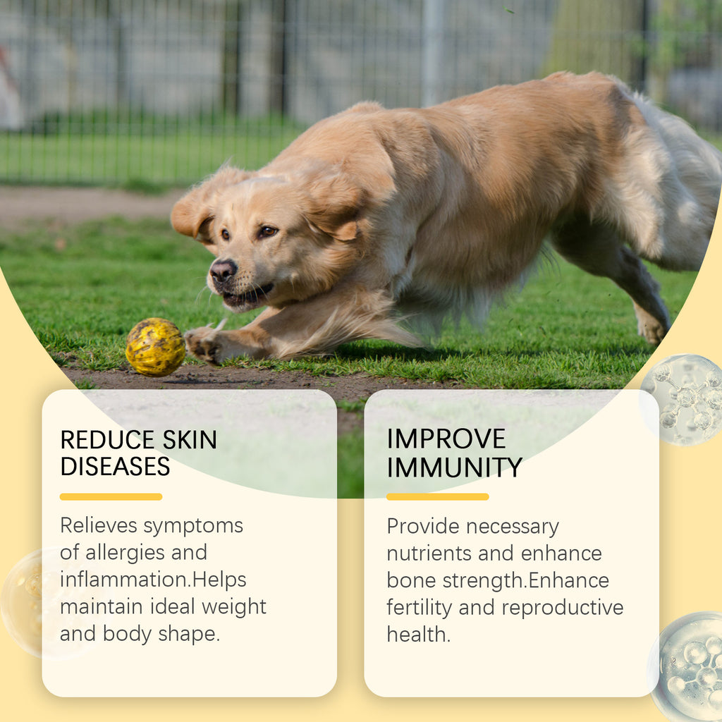 Dog Fish Oil Chewable Tablets for Skin and Coat Health – view 10