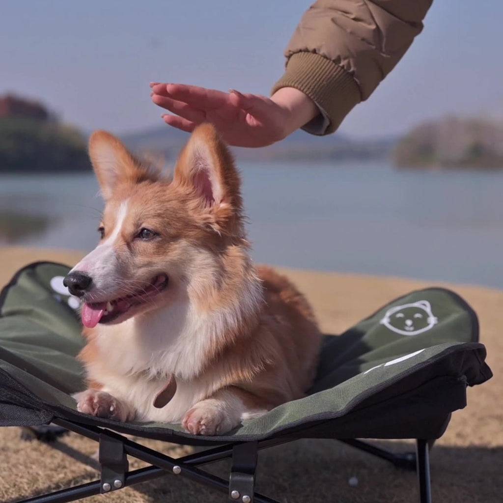 Fold & Go Outdoor Pet Bed – view 7