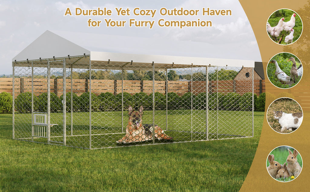 Large Outdoor Dog Kennel with Canopy for Comfort and Security – view 10