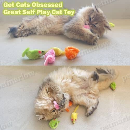 12PCS Cat Mouse Toy – view 4