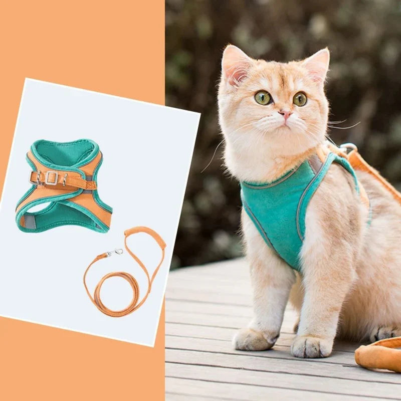 Cute Cat Harness – view 13