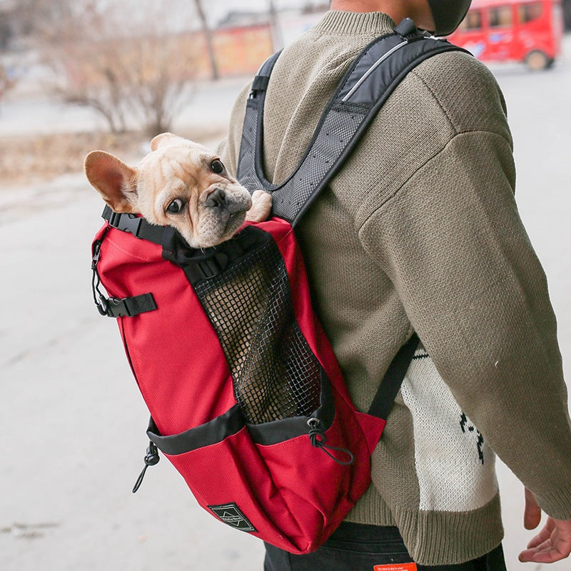 Pet Carrier Backpack for Small Dogs