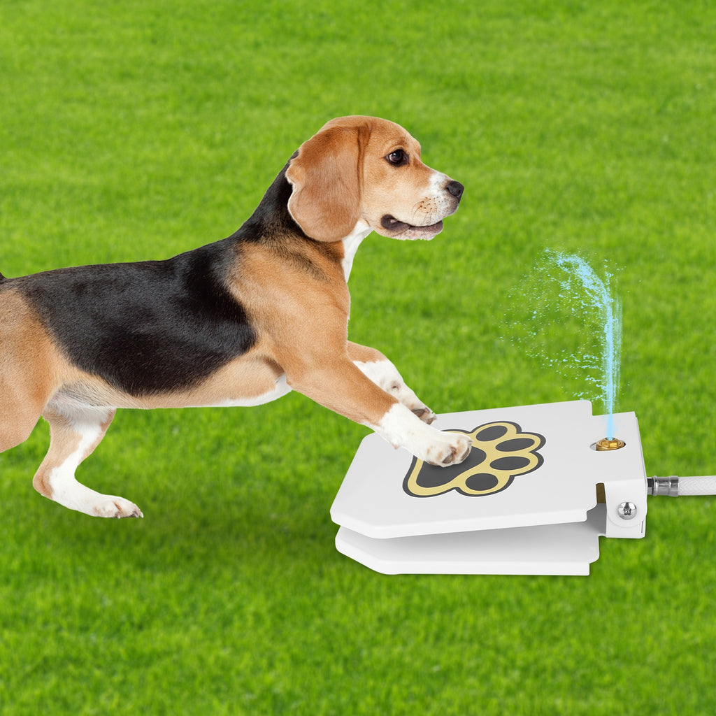 Dog Water Fountain with Step-on Pedal – view 10