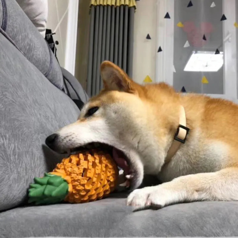 Rubber Fruit Dog Toy – view 7
