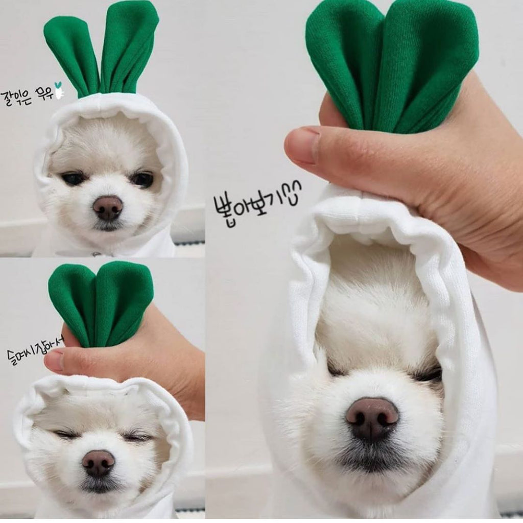 Cute Fruit Dog Clothes for Small Dogs Hoodies for Winter Warmth – view 10