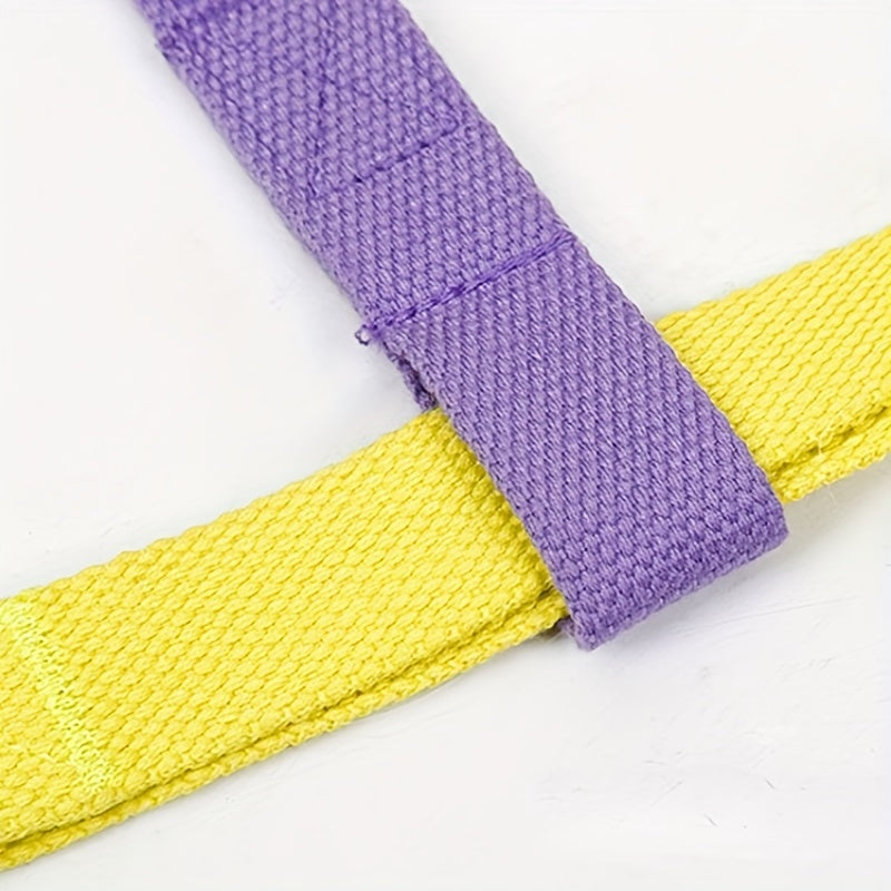 Rainbow Colorblock Dog Harness & Leash Set – view 7
