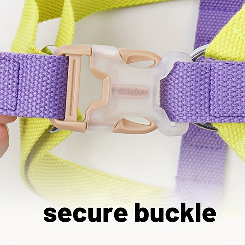 Rainbow Colorblock Dog Harness & Leash Set – view 9