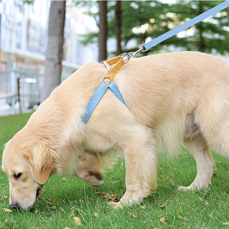 Rainbow Colorblock Dog Harness & Leash Set – view 10