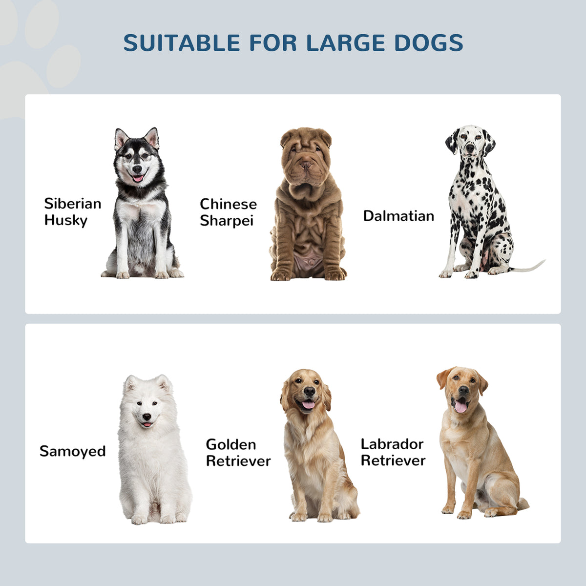 Large Elevated Dog Bowls with Storage Cabinet – view 8