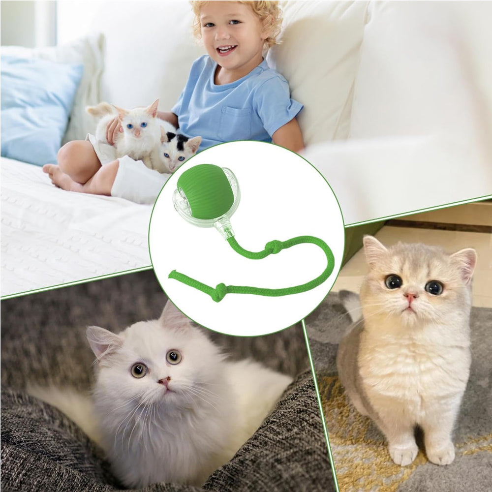 Interactive Rolling Cat Ball – view 15
