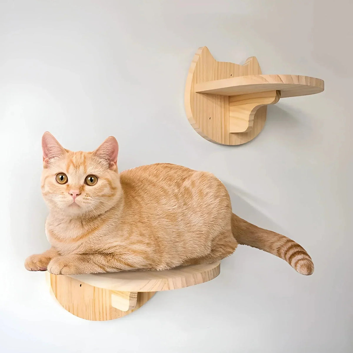 Customizable Wall Cat Tree – view 16