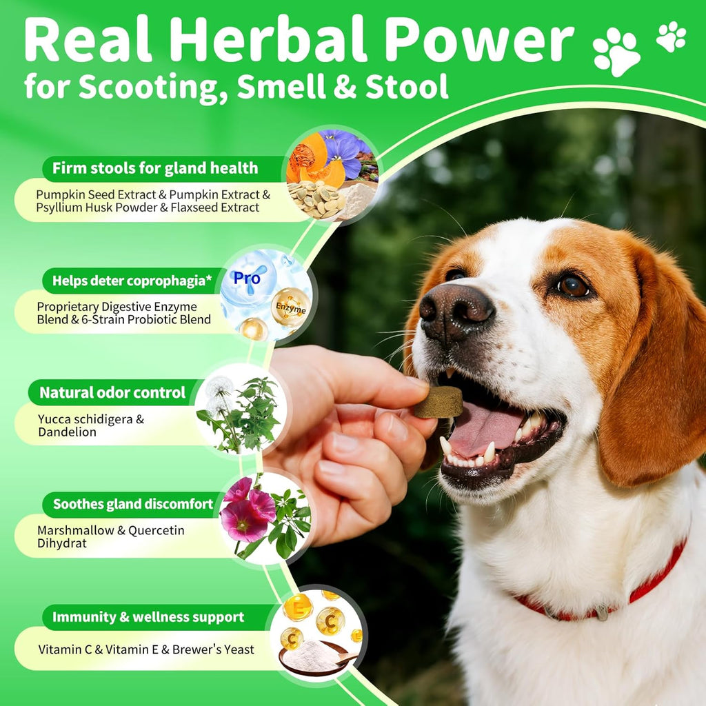 Dog Probiotics and Digestive Enzymes Chews for Gut Health – view 8