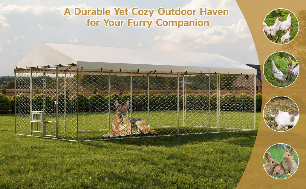 Large Outdoor Dog Kennel with Canopy for Comfort and Security – view 11
