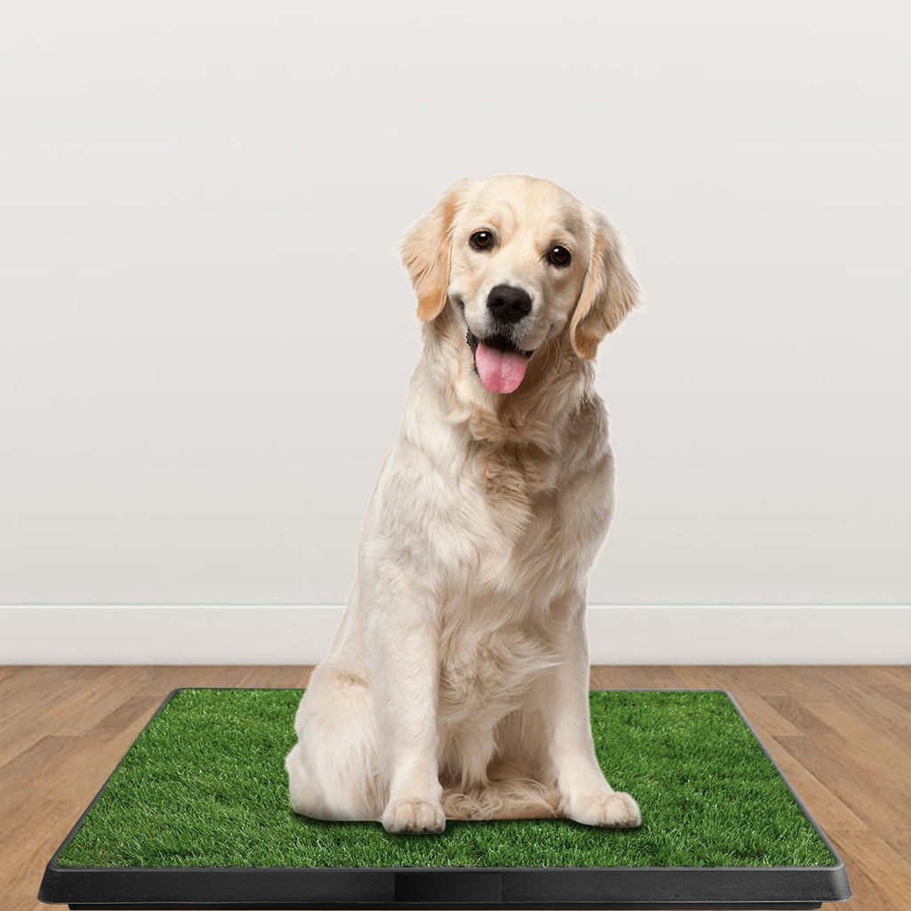 Artificial Grass Potty Training Pad for Dogs – view 7
