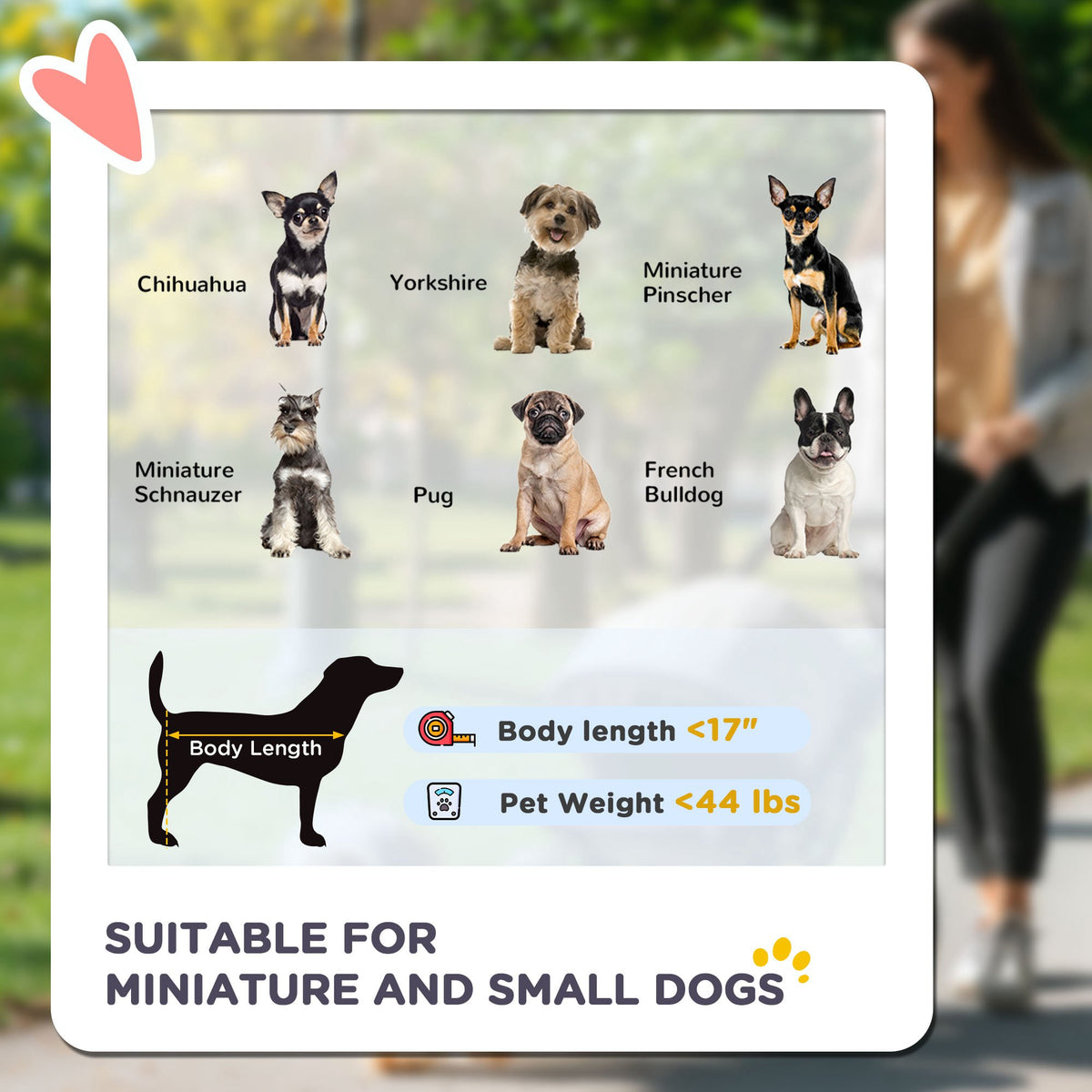 Pet Stroller for Small and Medium Dogs with Adjustable Canopy