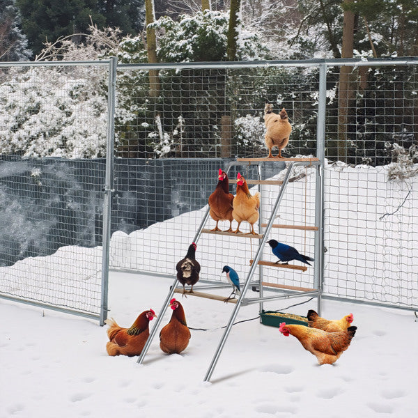 Outdoor Chicken Perch for Poultry Play and Rest – view 7