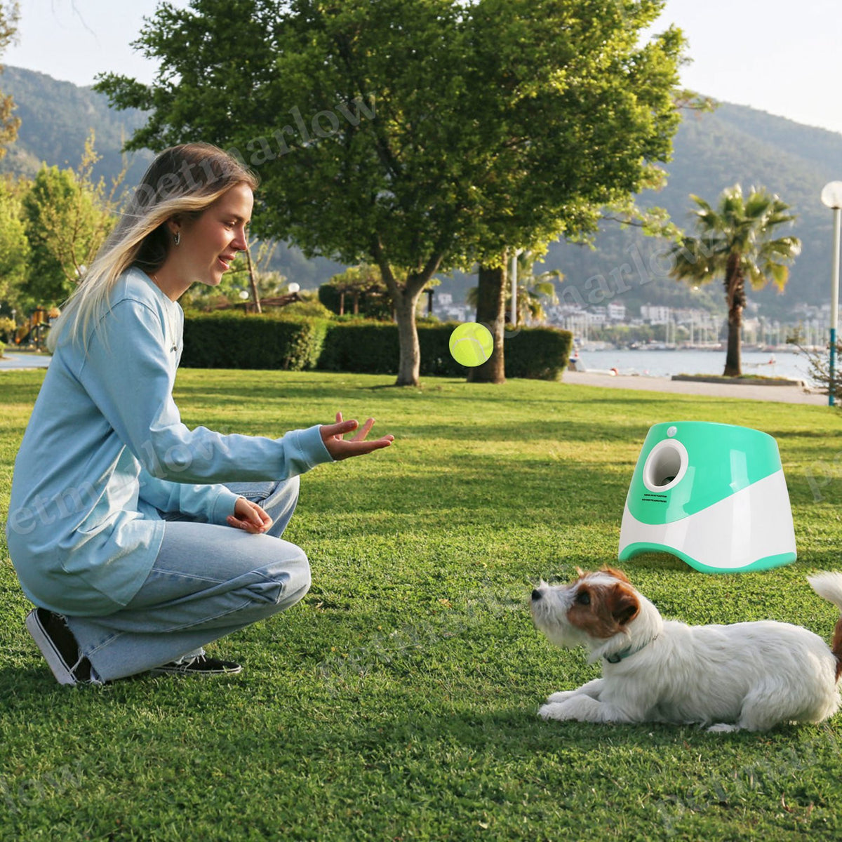 1Pc Automatic Dog Ball Launcher Toy Included 6 Tennis Balls Dog With 3 Adjustable Launch Distance Interactive Ball