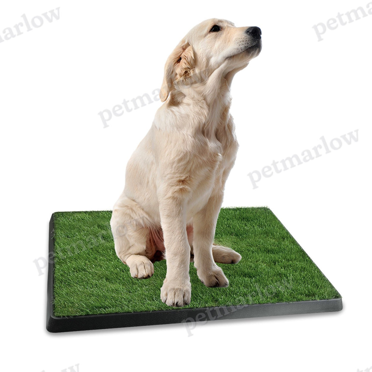 Artificial Grass Potty Training Pad for Dogs – view 3