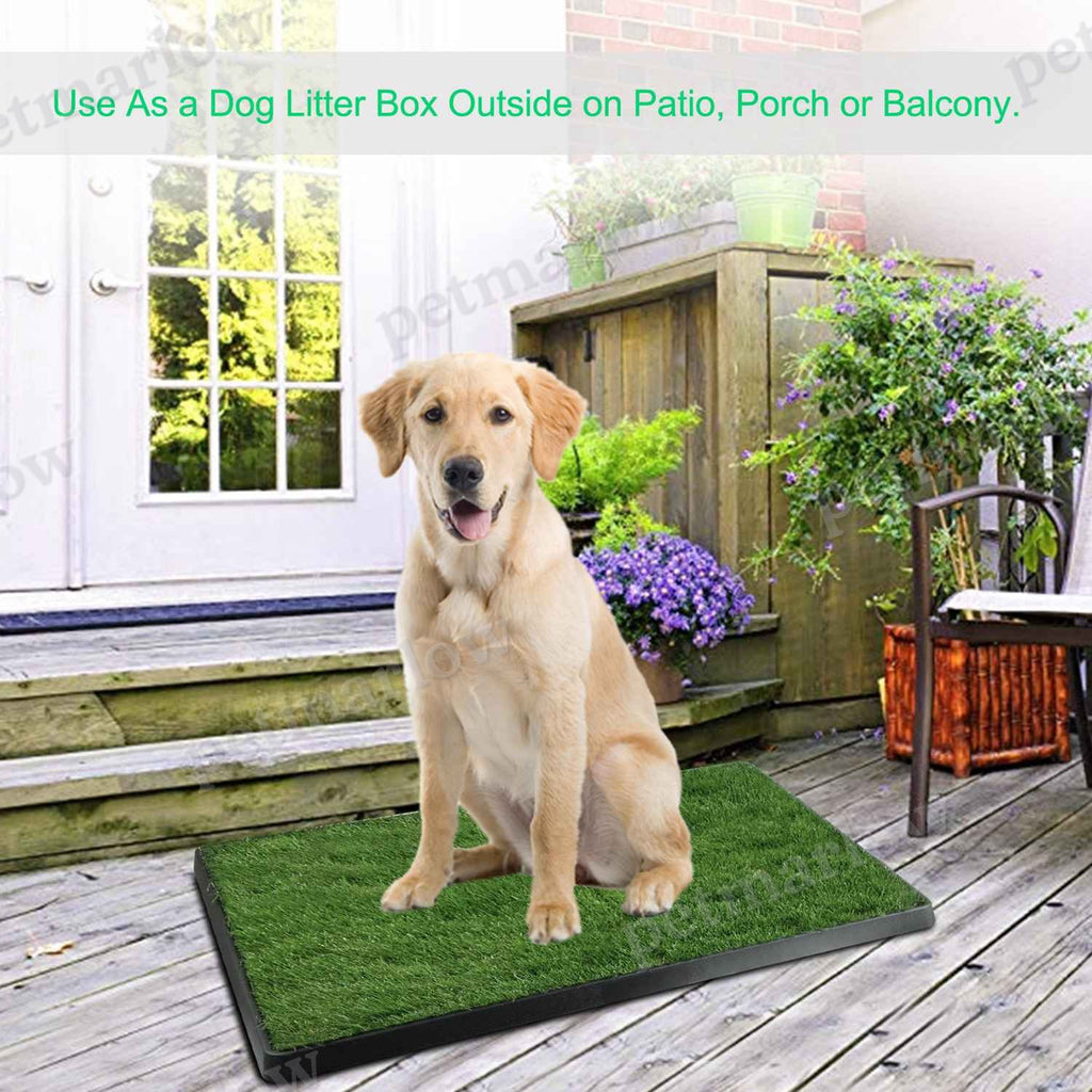 Artificial Grass Potty Training Pad for Dogs – view 4