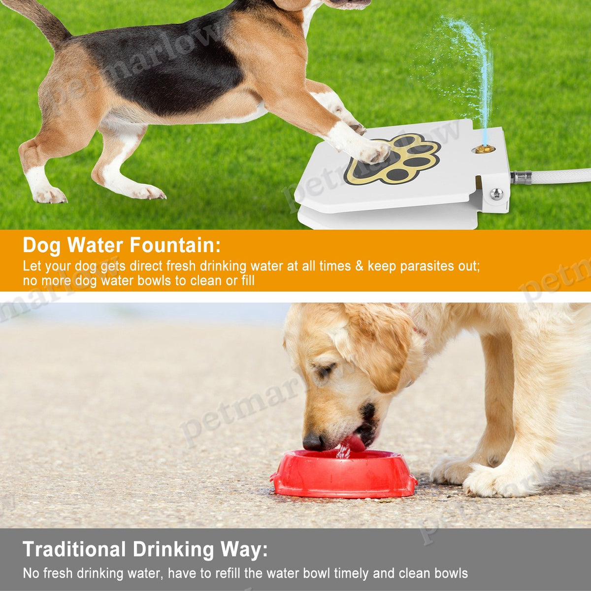 Dog Water Fountain with Step-on Pedal – view 4