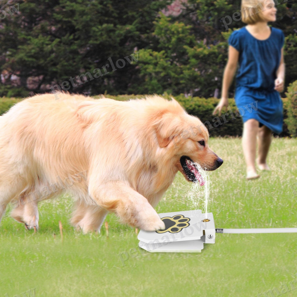 Dog Water Fountain with Step-on Pedal – view 5
