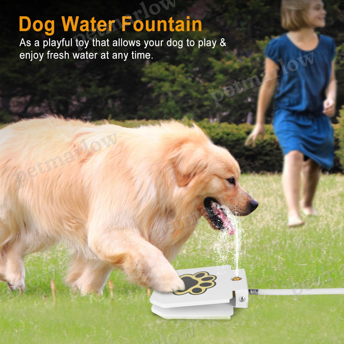 Dog Water Fountain with Step-on Pedal – view 6