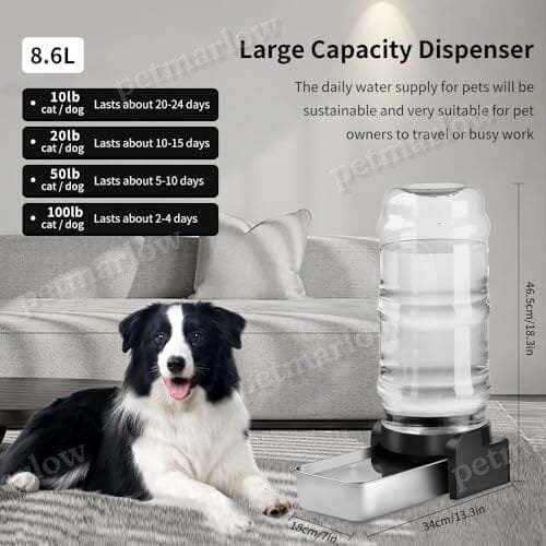 2.3 Gallon Automatic Gravity Pet Bowl for Dogs Medium to Large (3 Filters) – view 5
