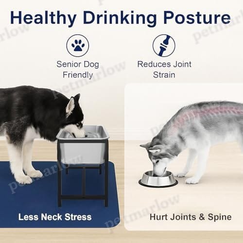 2.5 Gallon 14.2" Raised Stainless Steel Large Dog Water Bowl with Full Metal Stand for Relief Joint Pressure – view 2