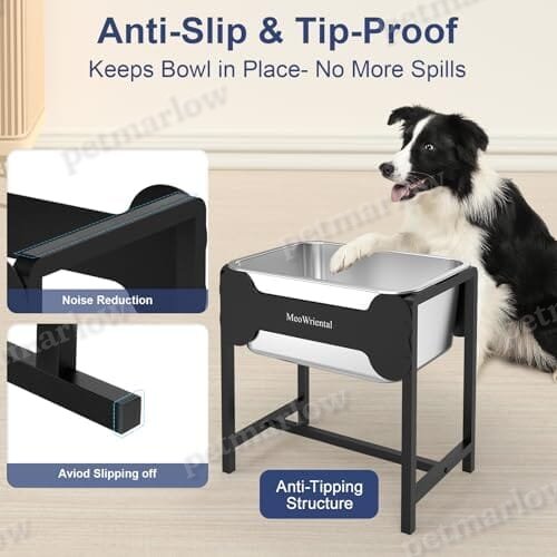 2.5 Gallon 14.2" Raised Stainless Steel Large Dog Water Bowl with Full Metal Stand for Relief Joint Pressure – view 5