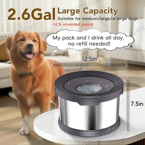 2.6 Gallon/10L Large Capacity Spill-Proof Dog Bowls – view 2