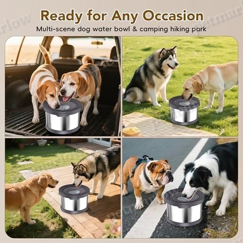 2.6 Gallon/10L Large Capacity Spill-Proof Dog Bowls – view 5